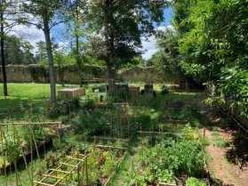 image Jardin_de_Chvreloup_3__leger.jpg (0.1MB)